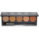 CINEMA SECRETS Pro Cosmetics Ultimate Correct Palette, 1, Skin Foundation Concealer