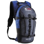 Geigerrig Rig 500 Hydration Pack (Citrus)