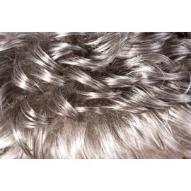 GAIL (Foxy Silver) - Synthetic in 3T51