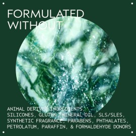 Aveda Botanical Kinetics Purifying Creme Cleanser | Daily Facial Cleanser for Normal to Dry Skin, 5.0 Fl Oz