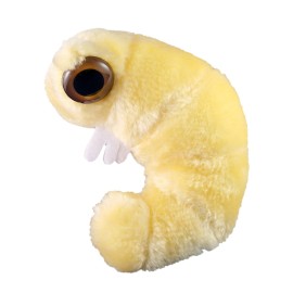 GIANTmicrobes Bookworm Plush - Learn About Science, Microbes, Books and Worms with This Adorable Gift for Friends, Family, Readers, Librarians, Scientists, Bibliophiles, Insect Fans and Nature Lovers