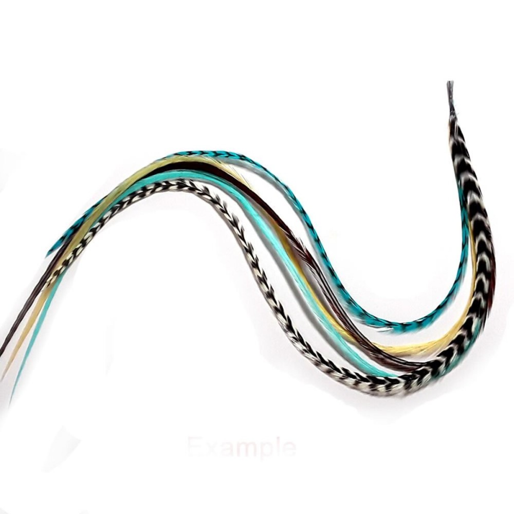 Feather Hair Extension - Turquoise, Brown, White & Grizzly, Five Genuine Rooster Feathers Bonded at the Tip, Ranging from 8 to 10 Inches, One Extension