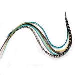 Feather Hair Extension - Turquoise, Brown, White & Grizzly, Five Genuine Rooster Feathers Bonded at the Tip, Ranging from 8 to 10 Inches, One Extension