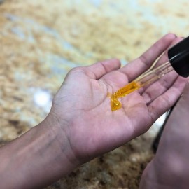 Mambino Organics Youth Glow Hydrating Serum - Organic, Face Serum with Namibian Marula - Nourishing Omegas & Vitamin C for Dryness, Dark Spots, Dullness - Cruelty-Free Skin Care, 1 fl oz