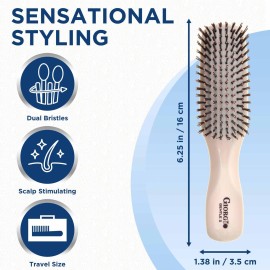 Giorgio GIO2IVY Ivory 6.25 inch Gentle Touch Detangler Hair Brush for Men Women and Kids. Soft Bristles for Sensitive Scalp. Wet and Dry for all Hair Types. Scalp Massager Brush Stimulate Hair Growth