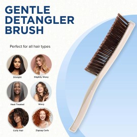 Giorgio GIO2IVY Ivory 6.25 inch Gentle Touch Detangler Hair Brush for Men Women and Kids. Soft Bristles for Sensitive Scalp. Wet and Dry for all Hair Types. Scalp Massager Brush Stimulate Hair Growth