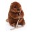 Douglas Buddy Beaver Plush Stuffed Animal