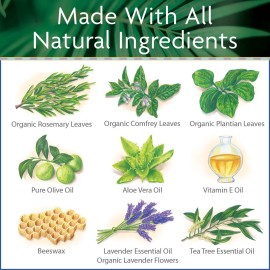 Island Soap & Candle Works Surfer\'s Salve - All Natural Skin Soothing Balm - Moisturizing Anti-Chafing Ointment for Insect Bites, Sunburn, Windburn, Chapped Lips, Rashes & New Tattoos - 3 Ounce Tube