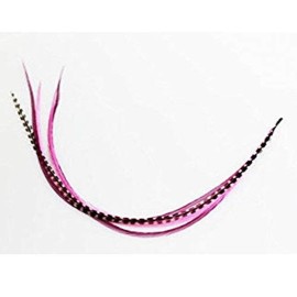 Sexy Sparkles Feather Hair Extension - Pink & Black Mix, Five Real Rooster Feathers Bonded at The Tip, Ranging from 4 to 7 Inches, One Extension, Includes 2 Silicone Micro Beads
