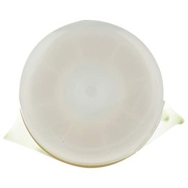 Desert Essence Green Apple & Ginger Body Wash - 8 Fl Ounce - Refreshing - Vitamins A, B & C - Scented - Cleanses & Revitalizes - Yucca Cactus - No Parabens