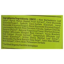 Desert Essence Green Apple & Ginger Body Wash - 8 Fl Ounce - Refreshing - Vitamins A, B & C - Scented - Cleanses & Revitalizes - Yucca Cactus - No Parabens