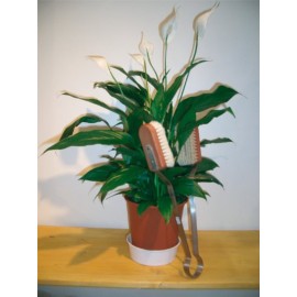 Redecker Goat Hair Leaf Cleaning Brush with Oiled Pearwood Handle, Dust Removal for Houseplants, 13-3/4-Inches Redecker Goat Hair Leaf Cleaning Brush with Oiled Pearwood Handle, Dust Removal for Houseplants, 13-3/4-Inches