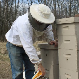 Beessential All Natural Mechanic & Gardner Small Batch Bar Soap - Great for Men, Women, and Teens- Paraben Free - Made in the USA - 5 Oz.
