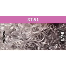 Foxy Silver Synthetic Wig - Edna-3T51