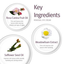 Epionce Renewal Eye Cream - Anti-Aging, Under Eye Cream for Dark Circles, Fine Lines, Wrinkles & Puffiness with Hyaluronic Acid, For All Skin Types, Dermatologist Skincare Epionce Renewal Eye Cream - Anti-Aging, Under Eye Cream for Dark Circles, Fine Lines, Wrinkles & Puffiness with Hyaluronic Acid, For All Skin Types, Dermatologist Skincare