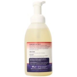 Eco-me Natural Sudzing Liquid Foaming Hand Soap, Healthy Citrus Berry Scented, 20 Ounces (ECOM-HSB120-06)