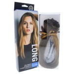 Hairdo Straight Extension Kit, R1416t Buttered Toast