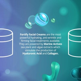 Sea Kind Natural Skin Care Anti-Wrinkle Cream and Face Moisturizer, Anti-Aging Night Cream with Marine Actives