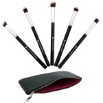 Mini Kabuki Makeup Brush Set - Beauty Junkees 5pc Professional Eyeshadow Make Up Brushes with Case; Blending, Concealer, Contour Highlighter, Smudging Eye Shadow Cosmetics, Cruelty Free