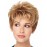 Eva Gabor Aspire Layered Pixie Comfort Cap Wig, Sugared Smoke by Hairuwear