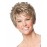 hairuwear Eva Gabor Acclaim Short Layered Petite Size Comfort Cap Wig, Mocha Mist