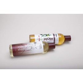 EDEN BodyWorks JojOba Monoi Moisturizing Shampoo | 8 oz | Gently Cleanse, Nourish, & Protect Hair and Scalp - Packaging May Vary EDEN BodyWorks JojOba Monoi Moisturizing Shampoo | 8 oz | Gently Cleanse, Nourish, & Protect Hair and Scalp - Packaging May Vary