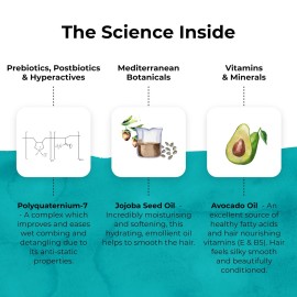 TEMPLESPA | IN GOOD CONDITION | Luxury Hair Conditioner, Lightweight Feel for Soft and Glossy Hair. Free from Parabens, Phthalates and Sulphates, Natural Ingredients, Cruelty-Free, Vegan 5.0 fl.oz.