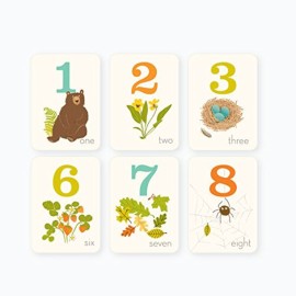 Sea Urchin Studio - Numbers Wall Art Woodland Forest - (5 X 7 Inches) 10 Cards