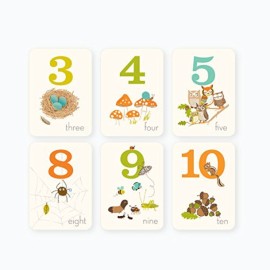 Sea Urchin Studio - Numbers Wall Art Woodland Forest - (5 X 7 Inches) 10 Cards