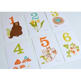 Sea Urchin Studio - Numbers Wall Art Woodland Forest - (5 X 7 Inches) 10 Cards