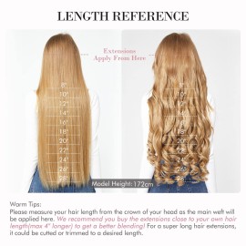 REECHO 20 1-pack 3/4 Full Head Curly Wave Clips in on Synthetic Hair Extensions HE008 Hair pieces for Women 5 Clips 4.5 Oz Per Piece - Dark Reddish Brown