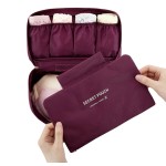 Wowlife Fashion Portable Multi-Functional Travel Organizer Cosmetic Make-up Bag Luggage Storage Case Bra Underwear Pouch (Wine Red)