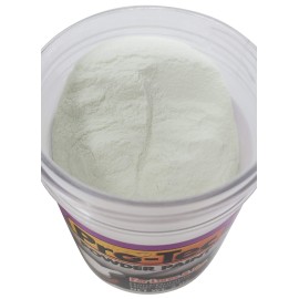 Pro-Tec Powder Paint 2 oz Jar (Glow White)
