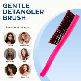 Giorgio GION2R Neon Red 6.25 inch Gentle Touch Detangler Hair Brush for Men Women & Kids. Soft Bristles for Sensitive Scalp. Wet and Dry for all Hair Types. Scalp Massager Brush Stimulate Hair Growth Giorgio GION2R Neon Red 6.25 inch Gentle Touch Detangler Hair Brush for Men Women & Kids. Soft Bristles for Sensitive Scalp. Wet and Dry for all Hair Types. Scalp Massager Brush Stimulate Hair Growth