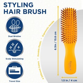 Giorgio GION2O Neon Orange 6.25 inch Gentle Touch Detangler Hair Brush for Men and Women. Soft Bristles for Sensitive Scalp. Wet and Dry for all Hair Types. Scalp Massager Brush Stimulate Hair Growth