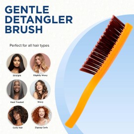 Giorgio GION2O Neon Orange 6.25 inch Gentle Touch Detangler Hair Brush for Men and Women. Soft Bristles for Sensitive Scalp. Wet and Dry for all Hair Types. Scalp Massager Brush Stimulate Hair Growth
