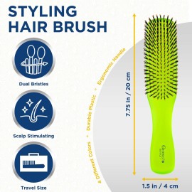 Giorgio GION1G Neon Green 7.75 inch Gentle Touch Detangler Hair Brush for Men Women. Soft Bristles for Sensitive Scalp. Wet and Dry for all Hair Types. Scalp Massager Brush Stimulate Hair Growth Giorgio GION1G Neon Green 7.75 inch Gentle Touch Detangler Hair Brush for Men Women. Soft Bristles for Sensitive Scalp. Wet and Dry for all Hair Types. Scalp Massager Brush Stimulate Hair Growth