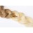 Tressmatch 20(22) Clip in Premium Remy Human Hair Extensions Thick to Ends Ombre Chestnut/medium Brown to Natural Blonde 10 Pieces(pcs) Full Head Volume Set [Set Weight:5.7oz/160grams]