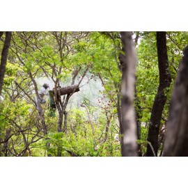 ZAMBEEZI Organic, Fair Trade Beeswax Lip Balm - Tangerine 3 Pack - Ethically Sourced