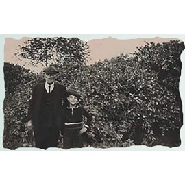 Cali Baronessa Tarocco Sicilian Red Orange Nourishing Lip Balm - Repairs and Nourishes Lips - 0.15 Ounce Each, Pack of 3 Cali Baronessa Tarocco Sicilian Red Orange Nourishing Lip Balm - Repairs and Nourishes Lips - 0.15 Ounce Each, Pack of 3