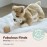 Bearington Tug The English Bulldog Plush, 13 Inch Dog Stuffed Animal - Bulldog Stuffed Animal - Dog Plush Toys for Kids