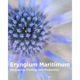 THESAEM Facial Soft Peeling Gel - Natural AHA+BHA Korean Enzyme Exfoliating Scrub for Dead Skin Cells, Face Exfoliator, Skin Turnover, Cell Renew Bio Micro Peel Soft Gel, 5.41 fl.oz. THESAEM Facial Soft Peeling Gel - Natural AHA+BHA Korean Enzyme Exfoliating Scrub for Dead Skin Cells, Face Exfoliator, Skin Turnover, Cell Renew Bio Micro Peel Soft Gel, 5.41 fl.oz.