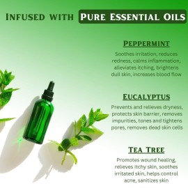 Natural Escapes Peppermint, Tea Tree & Eucalyptus Hydrating Body Wash, Invigorating Sulfate-Free Shower Gel for Soft, Hydrated & Healthy Skin, Moisturizing & Gentle for Normal & Sensitive Skin 16 oz