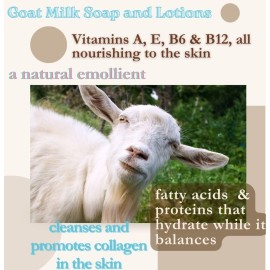 Goat Milk Facial Soap No.25 Blend for Combo Skin - Cleaning and Healing Infused Parsley, Calendula, Chamomile & Essential Lavender & Ylang Ylang Oils Goat Milk Facial Soap No.25 Blend for Combo Skin - Cleaning and Healing Infused Parsley, Calendula, Chamomile & Essential Lavender & Ylang Ylang Oils