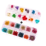 XICHEN 36 Starry Plus 36 Five Flower Flower Three-Dimensional Applique 3D Nail Stickers Nail Supplies Dried Flowers 2 * 12 Color (Starry and Five Flower)