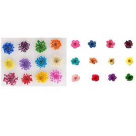 XICHEN 36 Starry Plus 36 Five Flower Flower Three-Dimensional Applique 3D Nail Stickers Nail Supplies Dried Flowers 2 * 12 Color (Starry and Five Flower)
