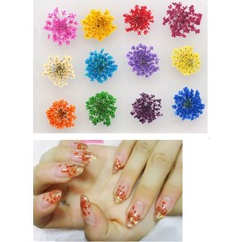 XICHEN 36 Starry Plus 36 Five Flower Flower Three-Dimensional Applique 3D Nail Stickers Nail Supplies Dried Flowers 2 * 12 Color (Starry and Five Flower)