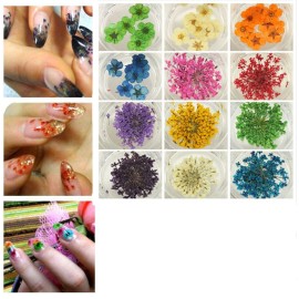 XICHEN 36 Starry Plus 36 Five Flower Flower Three-Dimensional Applique 3D Nail Stickers Nail Supplies Dried Flowers 2 * 12 Color (Starry and Five Flower)
