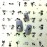 ALLYDREW Black Cats Water Slide Nail Art Decals Water Transfer Nail Decals (11 sheets/220 Nail Decals)