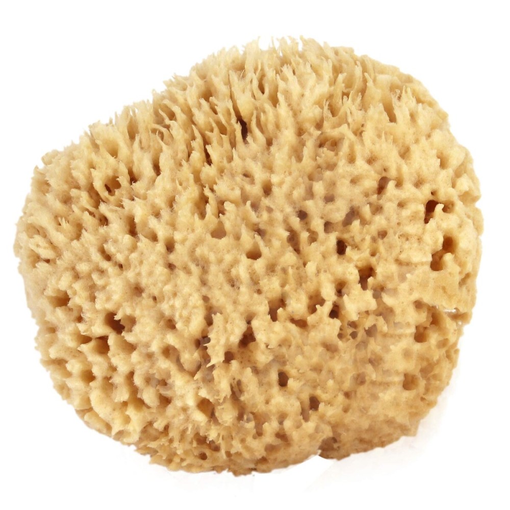 Sea Wool Sponge 4-5 (Small) by Bath & Shower Express  Natural Authentic Renewable Resource for Women & Men Esponja for Exfoliating and Washing Body Sea Wool Sponge 4-5 (Small) by Bath & Shower Express  Natural Authentic Renewable Resource for Women & Men Esponja for Exfoliating and Washing Body